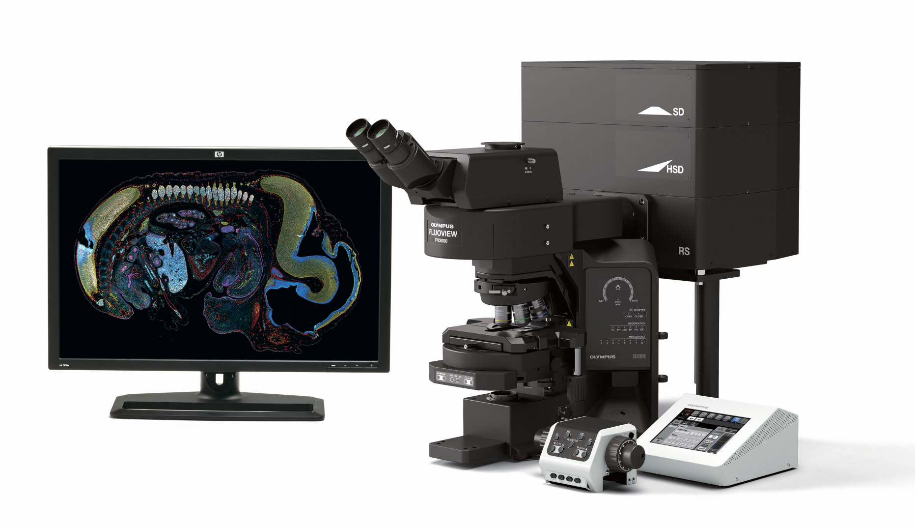 科技前沿丨FV3000助力揭示光感知调控血糖代谢的神经机制