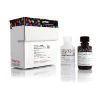 SuperSignal™ West Atto 超敏底物