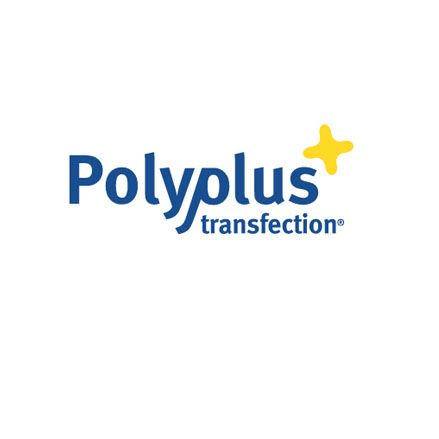 Polyplus Transfication®SA基因、寡核苷酸和 siRNA 转染试剂