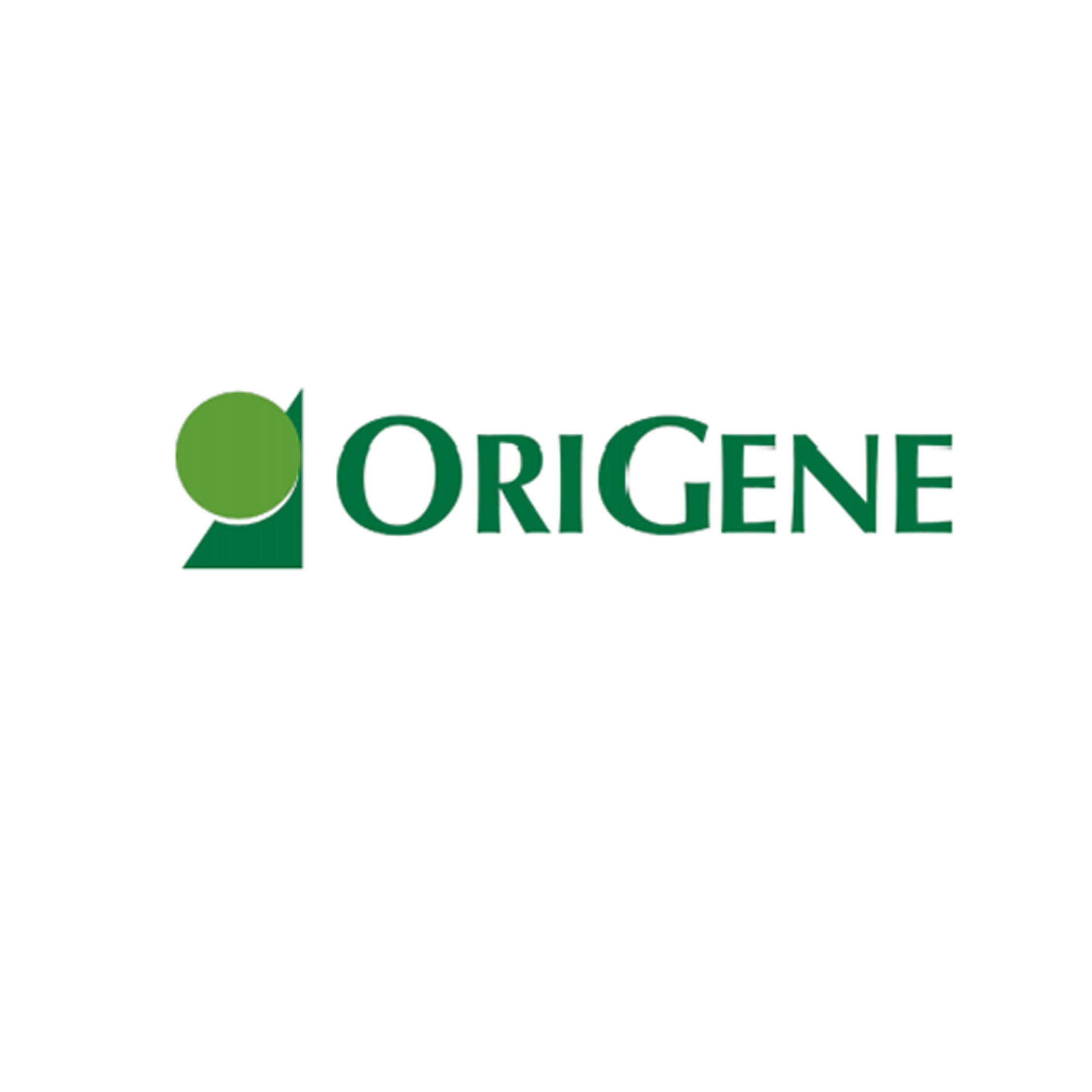OriGene基因、蛋白、抗体、分析试剂盒