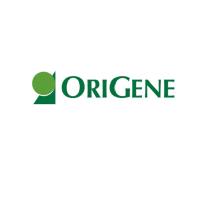 OriGene基因、蛋白、抗体、分析试剂盒