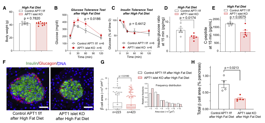 春节过后,警惕这种疾病!