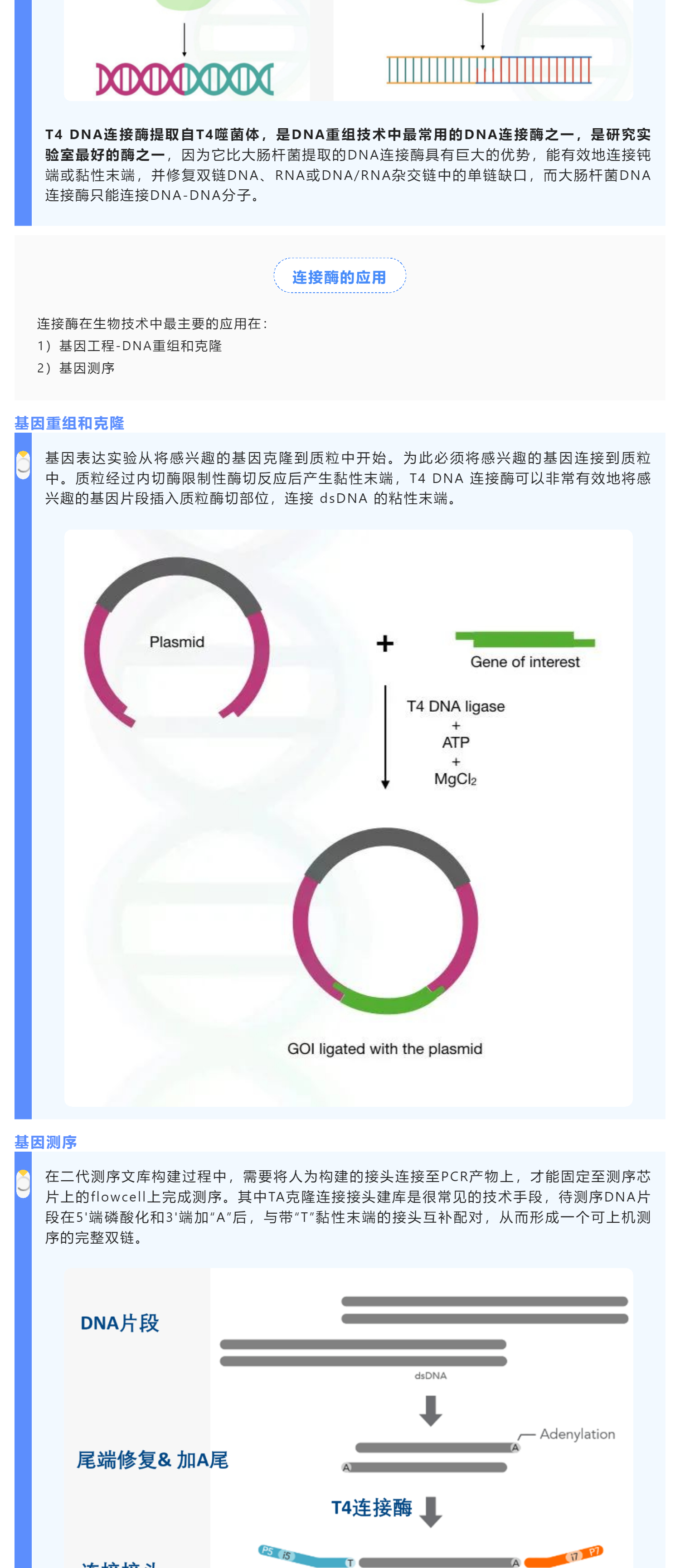 新闻图片2