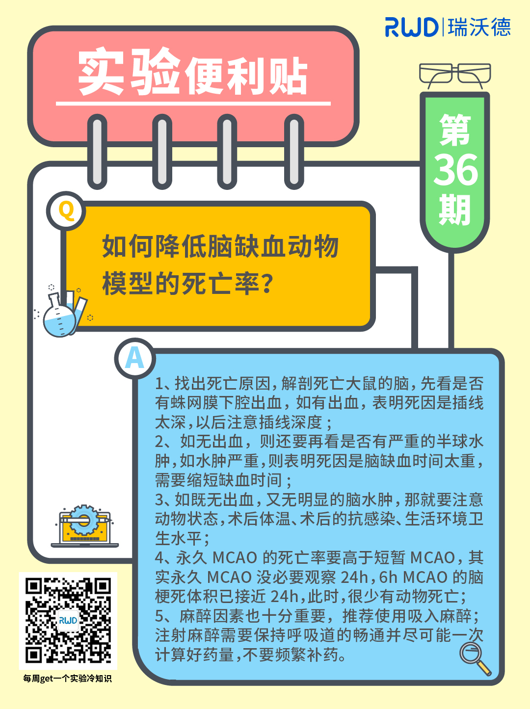 如何降低脑缺血动物模型的死亡率？