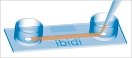 IBIDI易必迪µ-Slide I 单通道培养载玻片（现货）