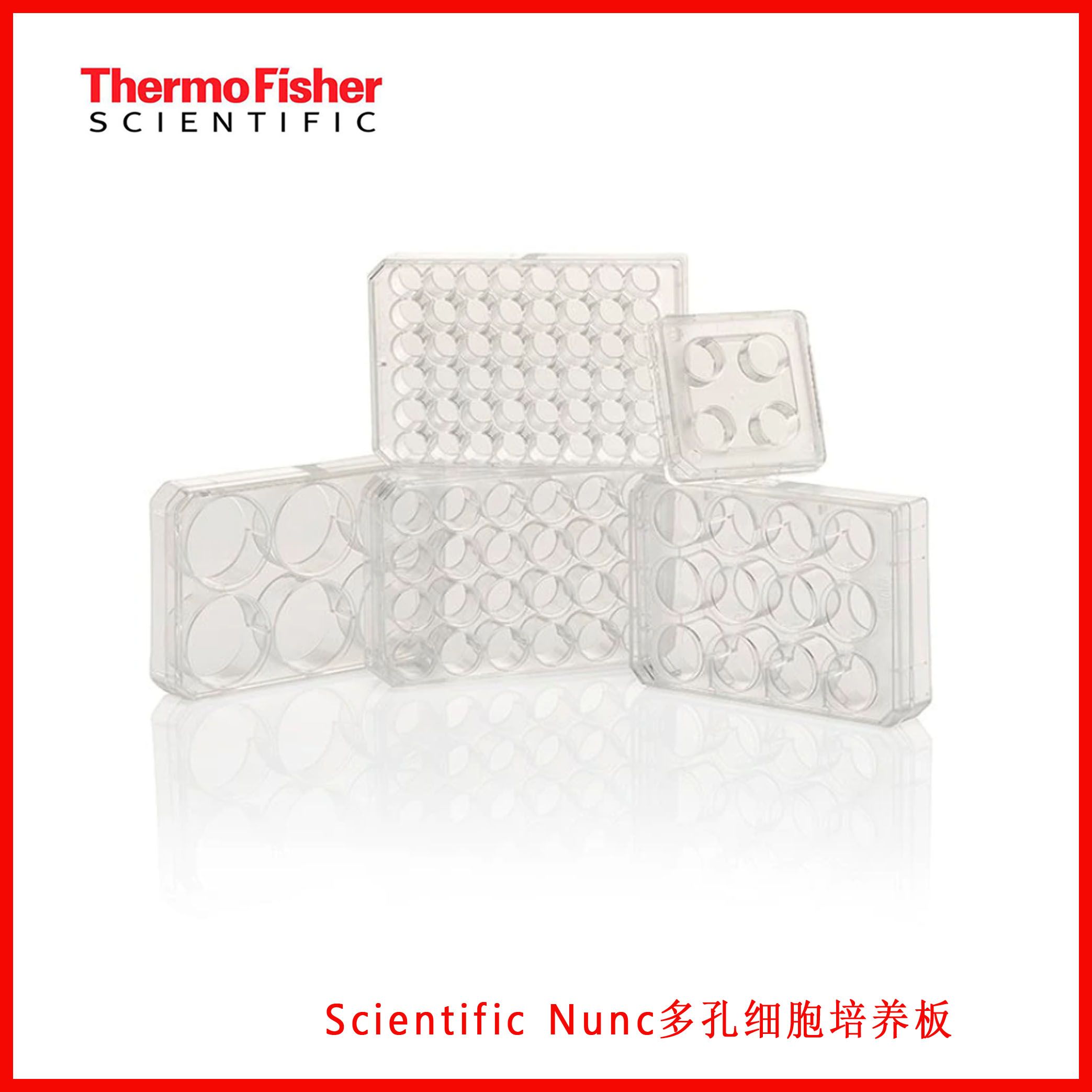 Thermo Scientific Nunc多孔细胞培养板