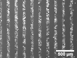 产品细节图片10