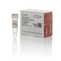 赛默飞Invitrogen™10777-019RNaseOUT ™ 重组核糖核酸酶抑制剂，5,000 units