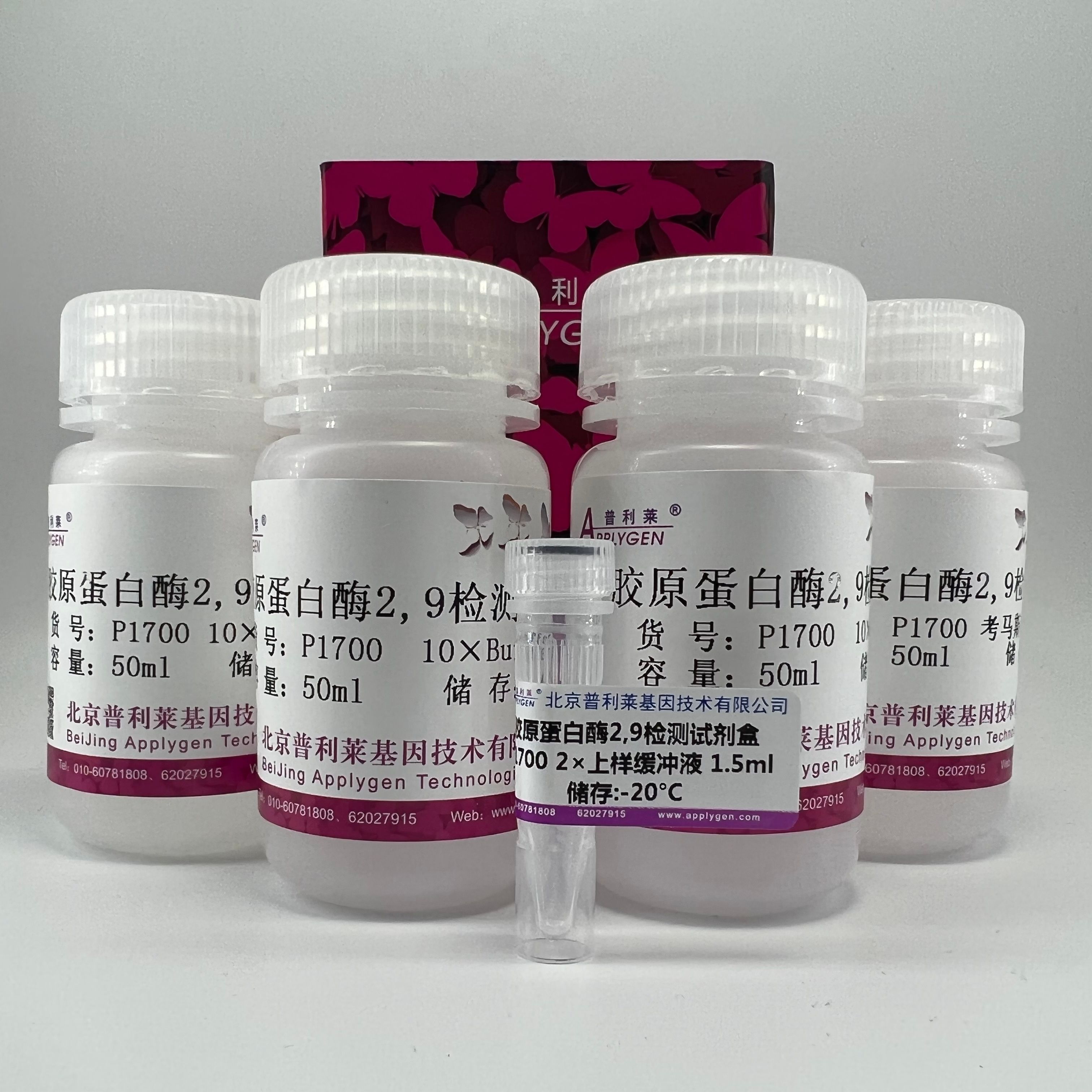 胶原蛋白酶2,9检测试剂盒(MMPZymographyAssayKit)   P1700  厂家直销，提供OEM定制服务，大包装更优惠 