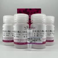 胶原蛋白酶2,9检测试剂盒(MMPZymographyAssayKit)   P1700  厂家直销，提供OEM定制服务，大包装更优惠 