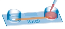 IBIDI易必迪µ-Slide I 单通道培养载玻片（现货）