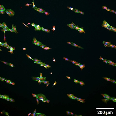 产品细节图片12