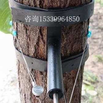 树木周长测量仪