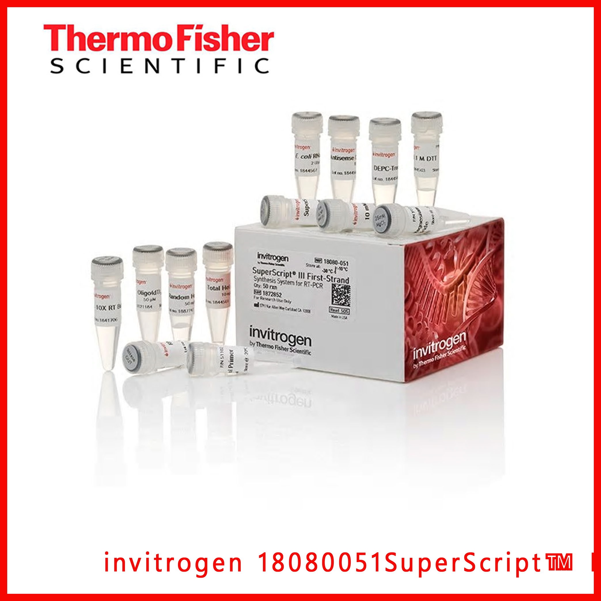 赛默飞invitrogen18080051SuperScri