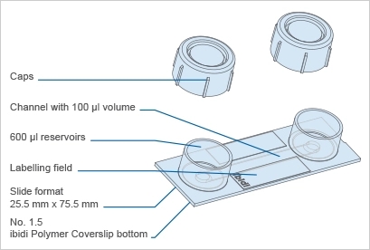 IBIDI易必迪µ-Slide I 单通道培养载玻片（现货）