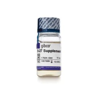 Gibco™17504-044 B-27™Supplement (50X), serum free ，B-27无血清培养基
