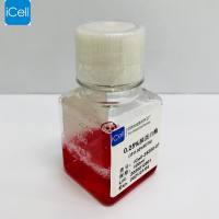 胰蛋白酶/镜像绮点（Cellverse）