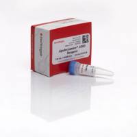 赛默飞Invitrogen11668027Lipofectamine™ 2000 Transfection Reagent