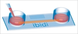 IBIDI易必迪µ-Slide I 单通道培养载玻片（现货）