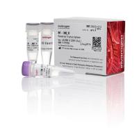 赛默飞Invitrogen™28025-013M-MLV Reverse Transcriptase (200 U/µL)