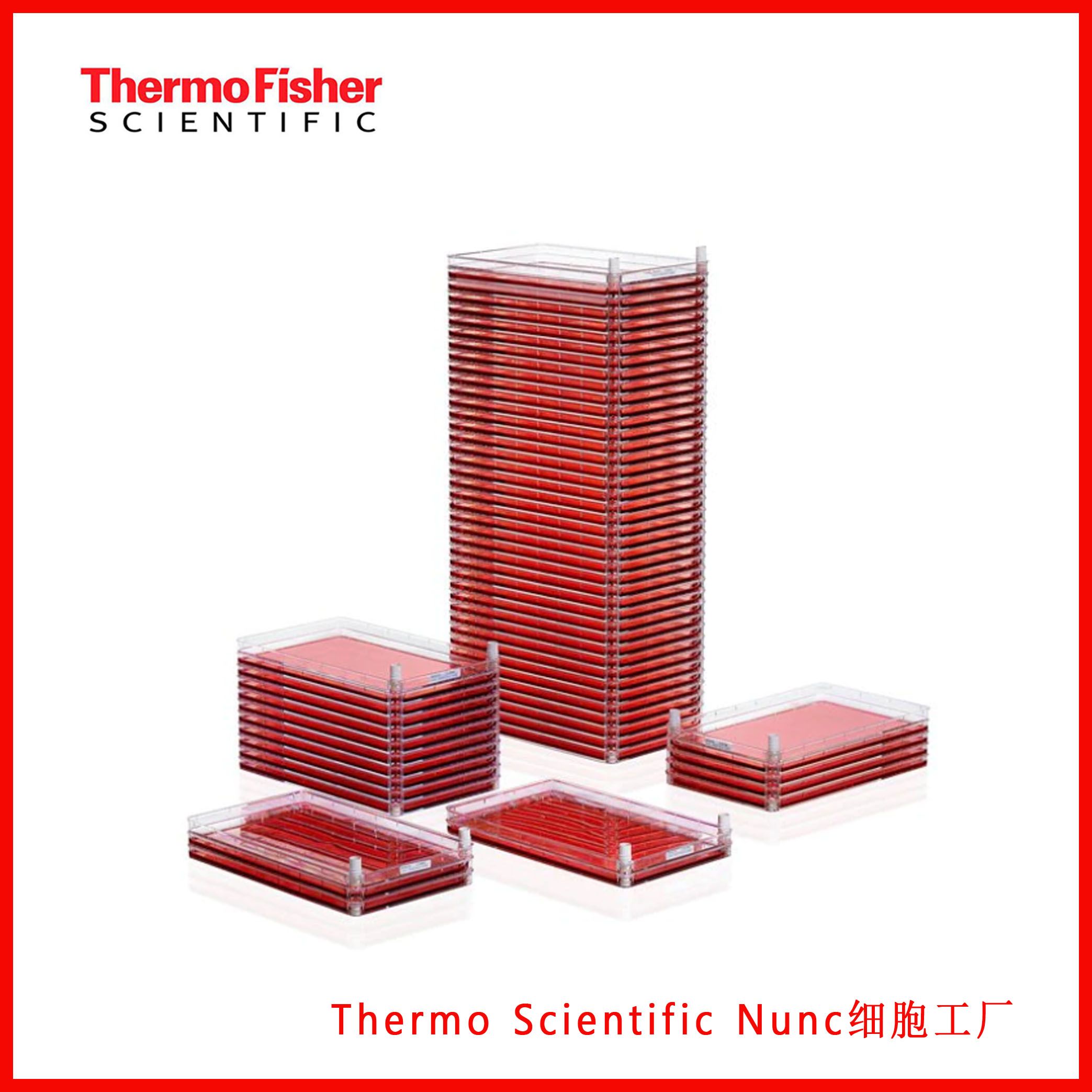 Thermo Scientific Nunc细胞工厂