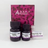 液体样本游离胆固醇酶法测定试剂盒  E1006