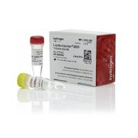 赛默飞Invitrogen™L3000008Lipofectamine™ 3000 Transfection Reagent,0.75ml