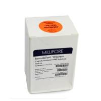 MiliporeWBKLS0500 Immobilon Western