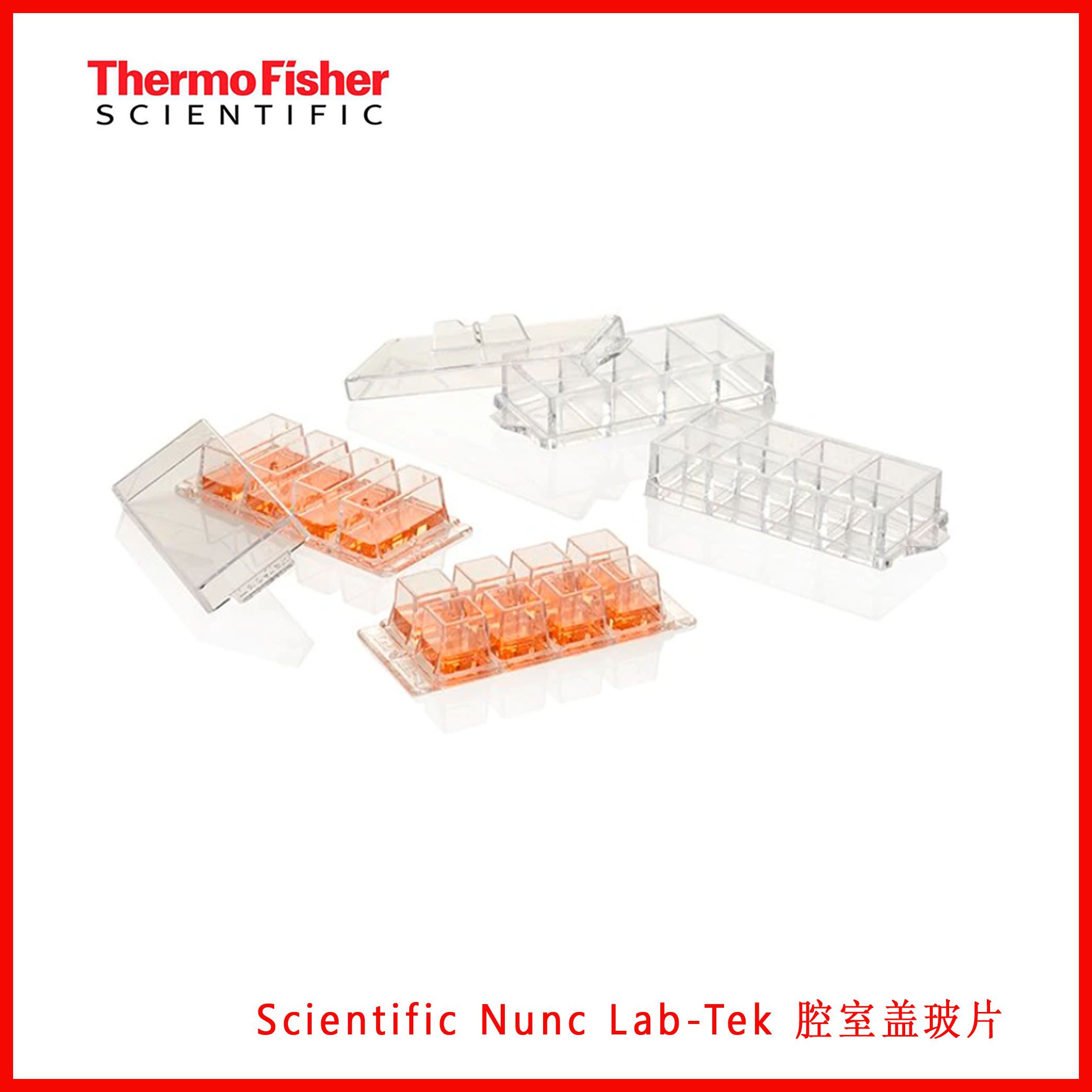 Thermo Scientific™ Nunc™ Lab-Tek™ 腔室盖玻片155361/155380/155383/155411