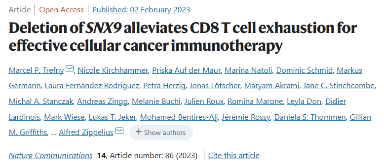 科研赋能丨云舟生物助力瑞士巴塞尔大学为增强癌症免疫疗法疗效提供新思路