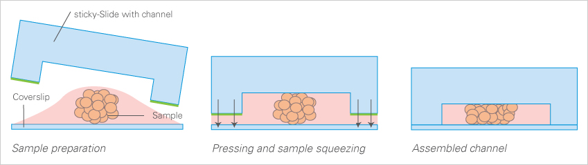 六通道可粘载玻片