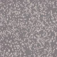 OP9细胞_小鼠骨髓基质细胞