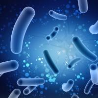 GMP蛋白稳定细胞系开发服务