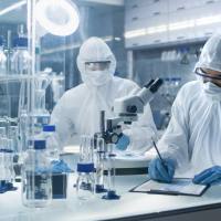 支持IND的GMP及non-GMP蛋白生产服务