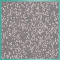 RAW 264.7细胞_小鼠单核巨噬细胞白血病细胞