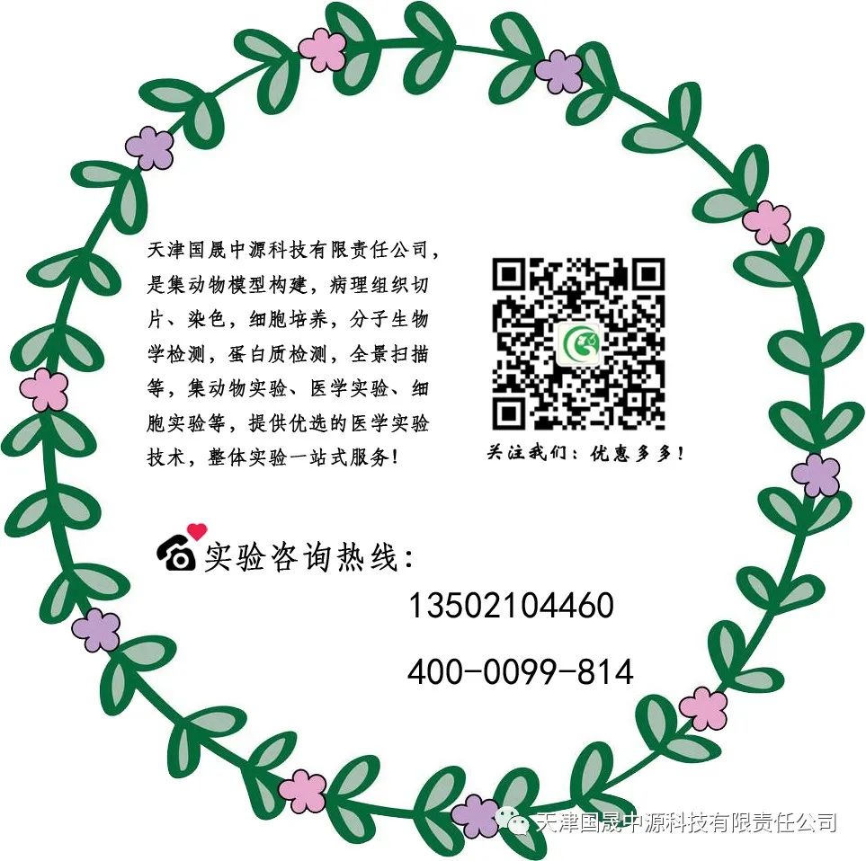 妊娠糖尿病对子代大鼠的影响--动物实验