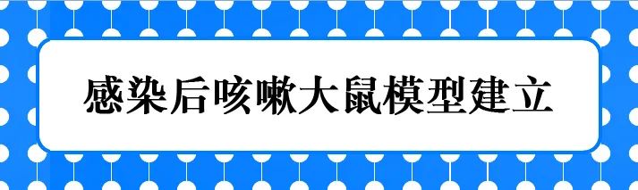 感染后咳嗽大鼠模型建立——实例分享