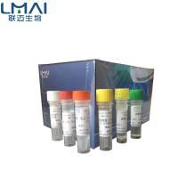 鸭乙型肝炎病毒PCR试剂盒