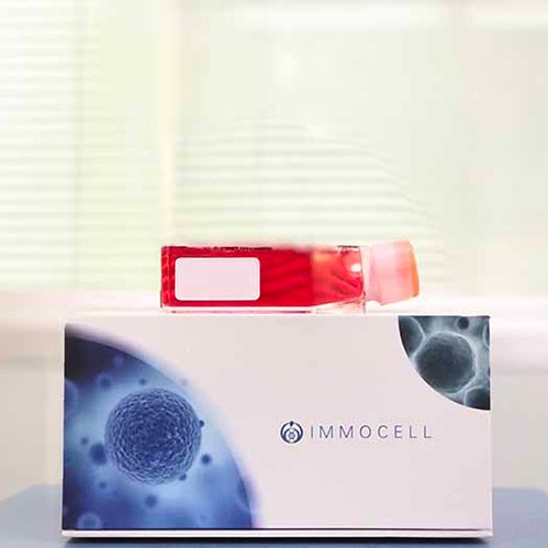 人肝癌成纤维细胞丨逸漠(immocell)