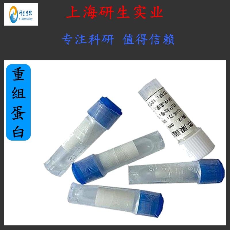 Recombinant Human COX7A2L蛋白