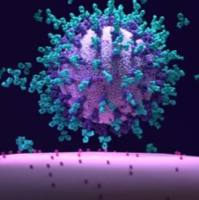 GMP级别生长因子