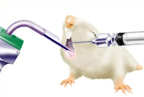 小鼠气管给药装置大鼠肺部给药器