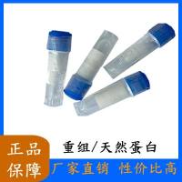 Recombinant Mouse txn蛋白