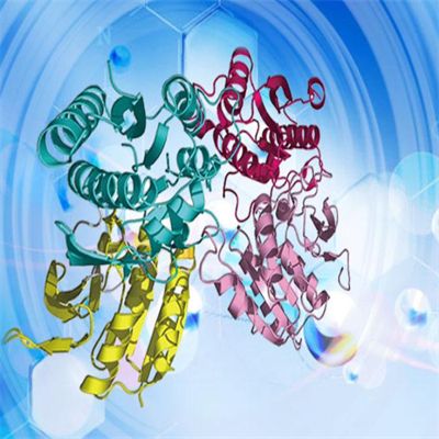 氨酰tRNA合成酶复合多功能相互作用蛋白1(AIMP1)重组蛋白(Mouse，小鼠)