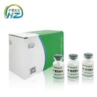 促甲状腺素β(TSHβ)重组蛋白