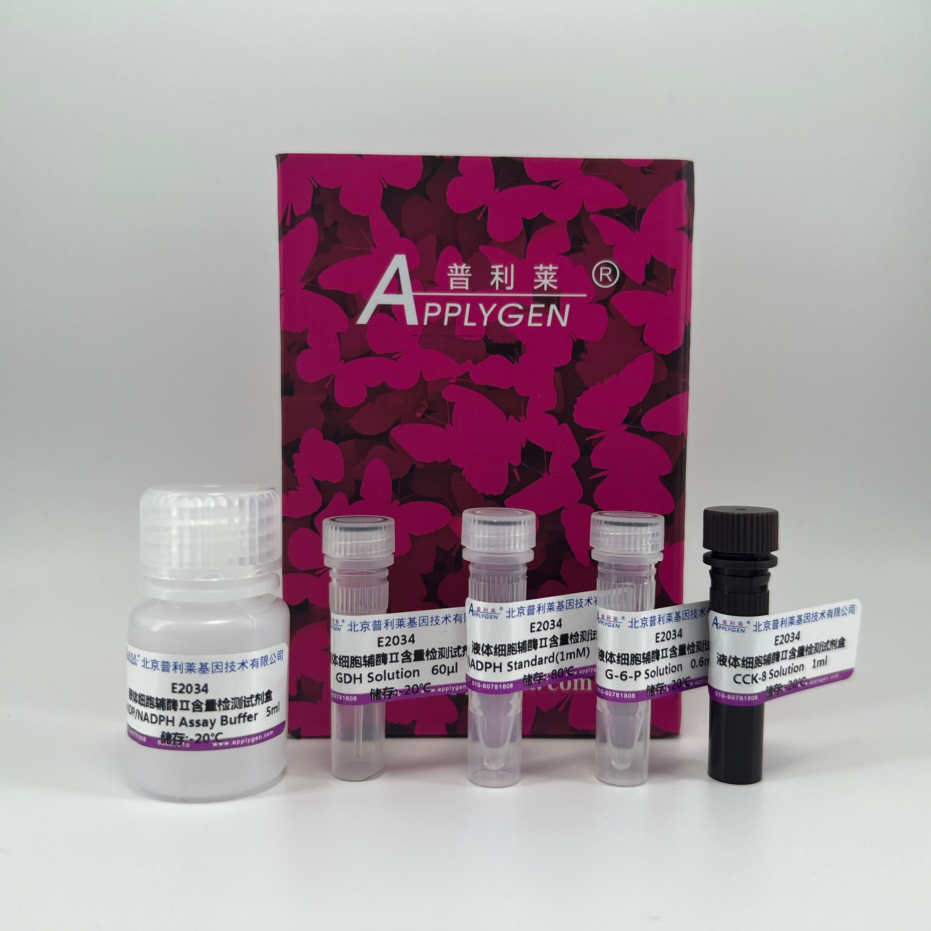 液体样本 辅酶Ⅱ（NADP+/NADPH）检测试剂盒(WST-8法)  E2034    厂家直销，提供OEM定制服务，大包装更优惠 