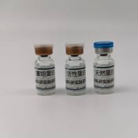 促甲状腺素β(TSHb)重组蛋白