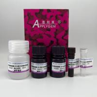 乳酸脱氢酶LDH活力测定试剂盒   E1020  厂家直销，提供OEM定制服务，大包装更优惠 