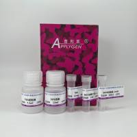 液体样本丙二醛（MDA）检测试剂盒（TBA法）E2009  厂家直销，提供OEM定制服务，大包装更优惠 