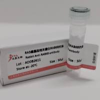 兔抗犬IgG（多克隆抗体）